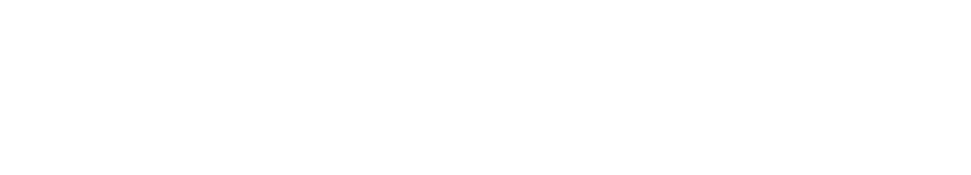 LOGO IRONTEC WHITE